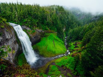 Image 1392 full 2x 343x257