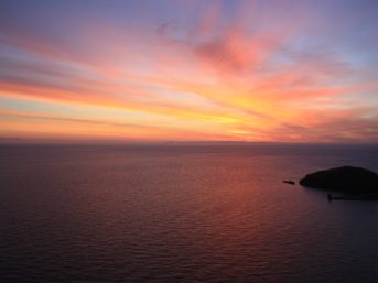 Image 1384 full 2x 343x257