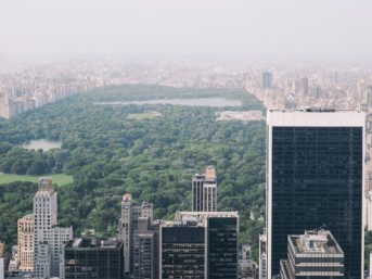 Image 1364 full 2x 343x257