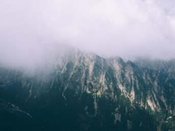 Image 1360 full 2x 343x257