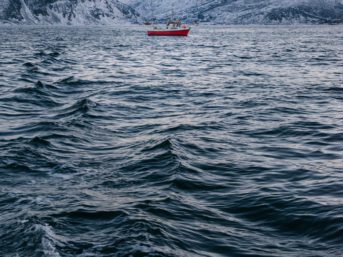 Image 1356 full 2x 343x257