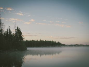 Image 1348 full 2x 343x257