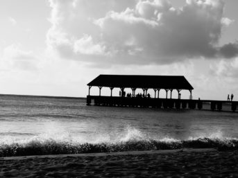 Image 1300 full 2x 343x257