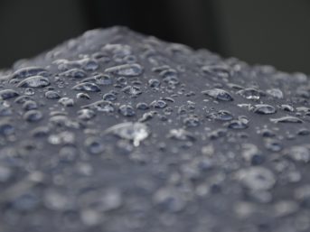 Image 1296 full 2x 343x257