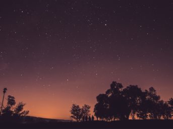 Image 1288 full 2x 343x257