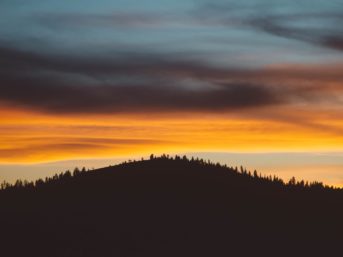 Image 1208 full 2x 343x257