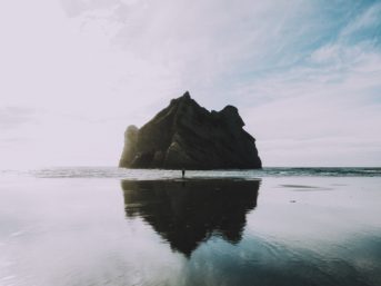 Image 1204 full 2x 343x257