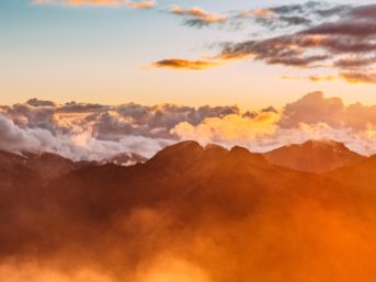 Image 1160 full 2x 343x257