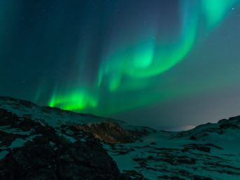 Image 1152 full 2x 343x257