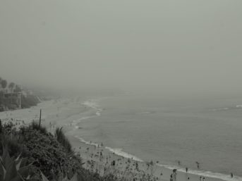 Image 1148 full 2x 343x257