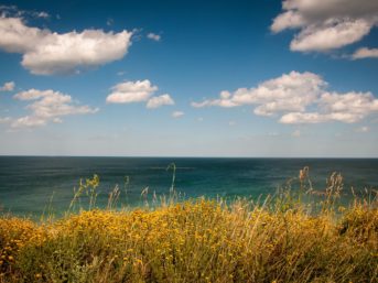 Image 1092 full 2x 343x257