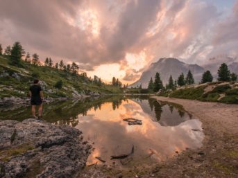 Image 1068 full 2x 343x257