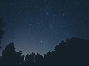 Image 1056 full 2x 343x257