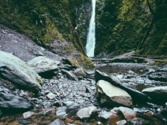 Image 1044 full 2x 343x257