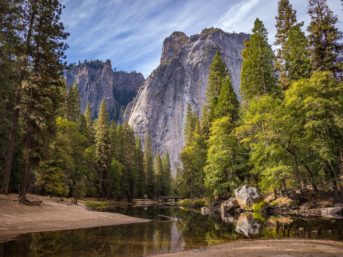 Image 1000 full 2x 343x257