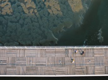 Image 0932 full 2x 343x257