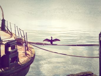 Image 0920 full 2x 343x257