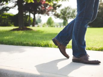 Image 0840 full 2x 343x257