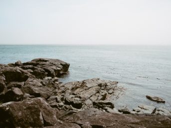 Image 0820 full 2x 343x257