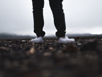 Image 0812 full 2x 343x257