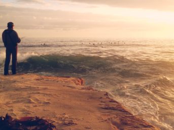 Image 0808 full 2x 343x257