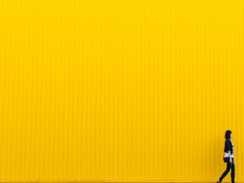 Image 0804 full 2x 343x257