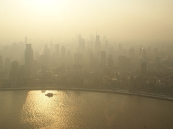 Image 0796 full 2x 343x257