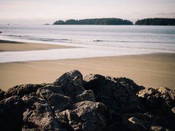 Image 0784 full 2x 343x257