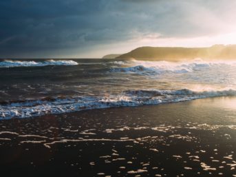 Image 0756 full 2x 343x257