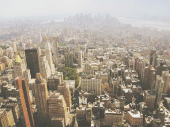 Image 0740 full 2x 343x257