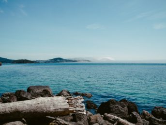 Image 0736 full 2x 343x257