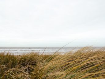 Image 0672 full 2x 343x257