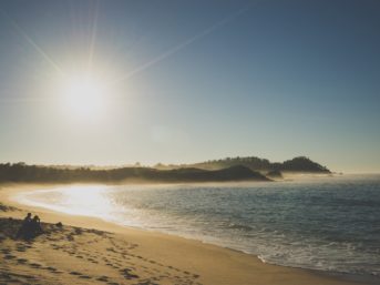 Image 0660 full 2x 343x257