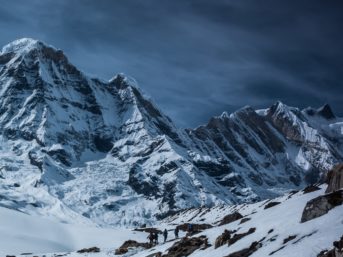 Image 0600 full 2x 343x257