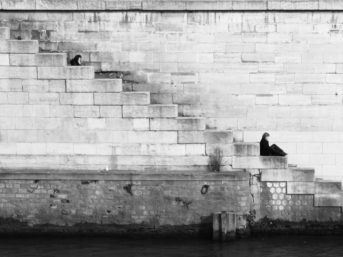 Image 0596 full 2x 343x257