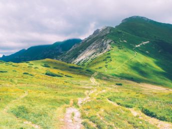 Image 0544 full 2x 343x257