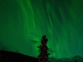 Image 0472 full 2x 343x257