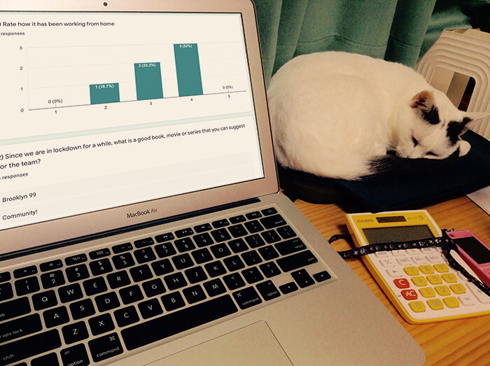 Running a remote retro with the help of Google Forms (and a cat).